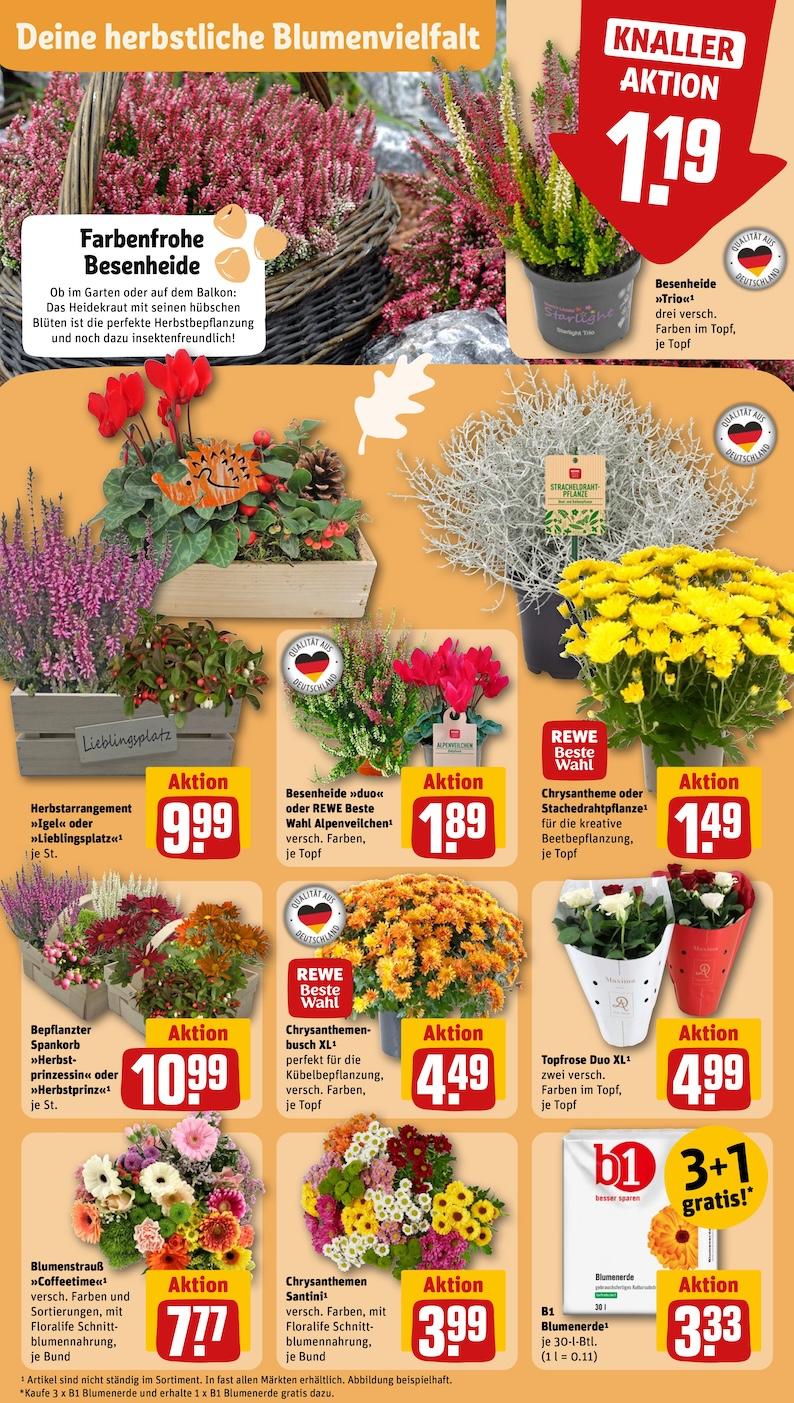 Rewe Aktueller Prospekt ab Montag Seite 7