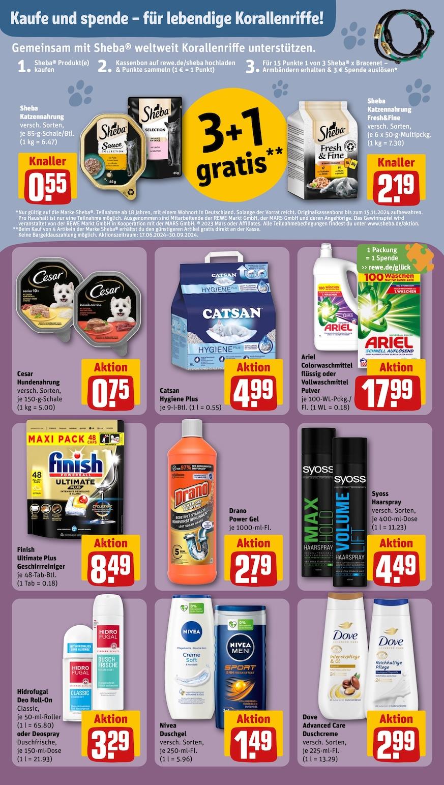Rewe Aktueller Prospekt ab Montag Seite 26