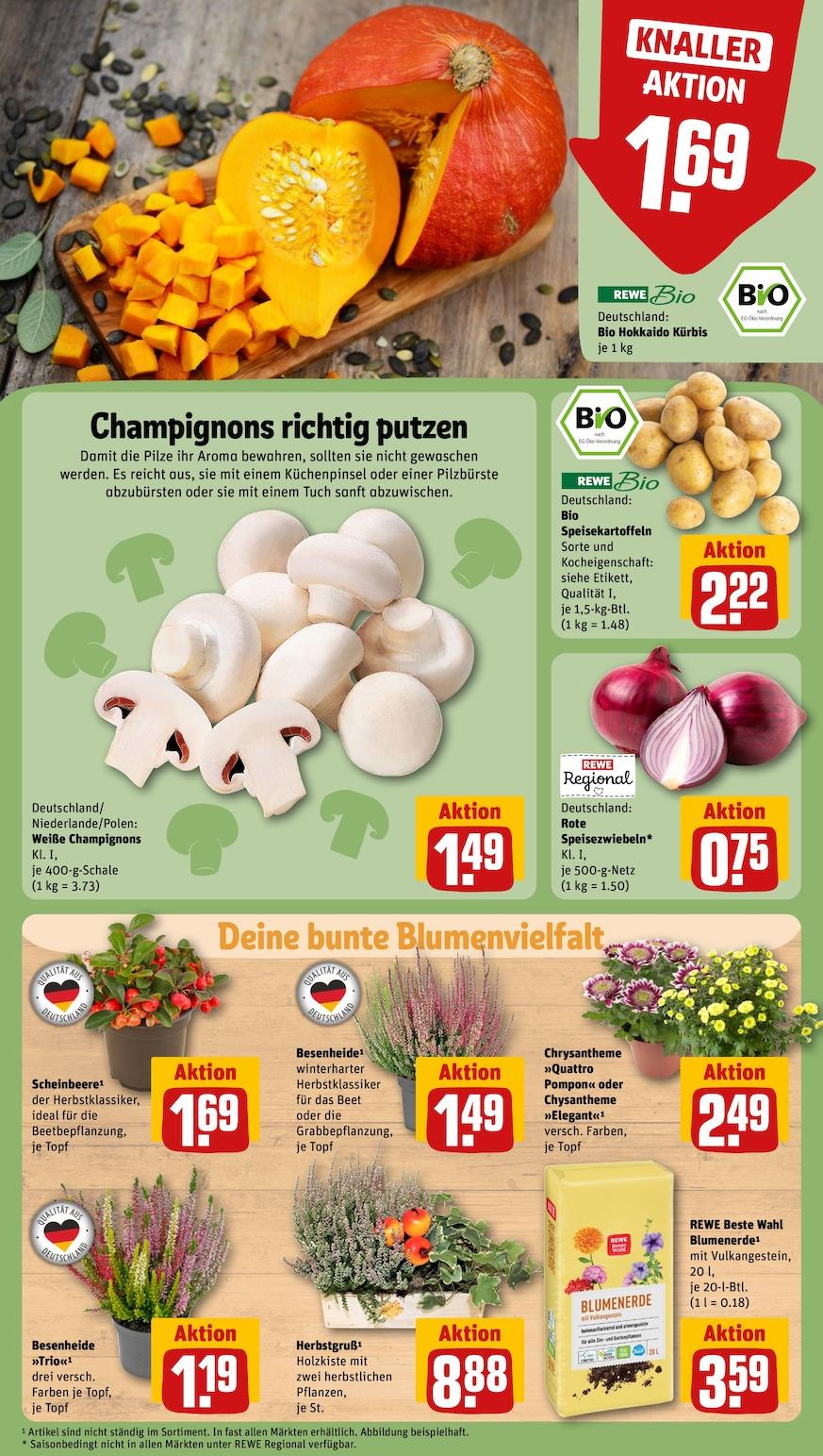 Rewe Aktueller Prospekt ab Montag Seite 11