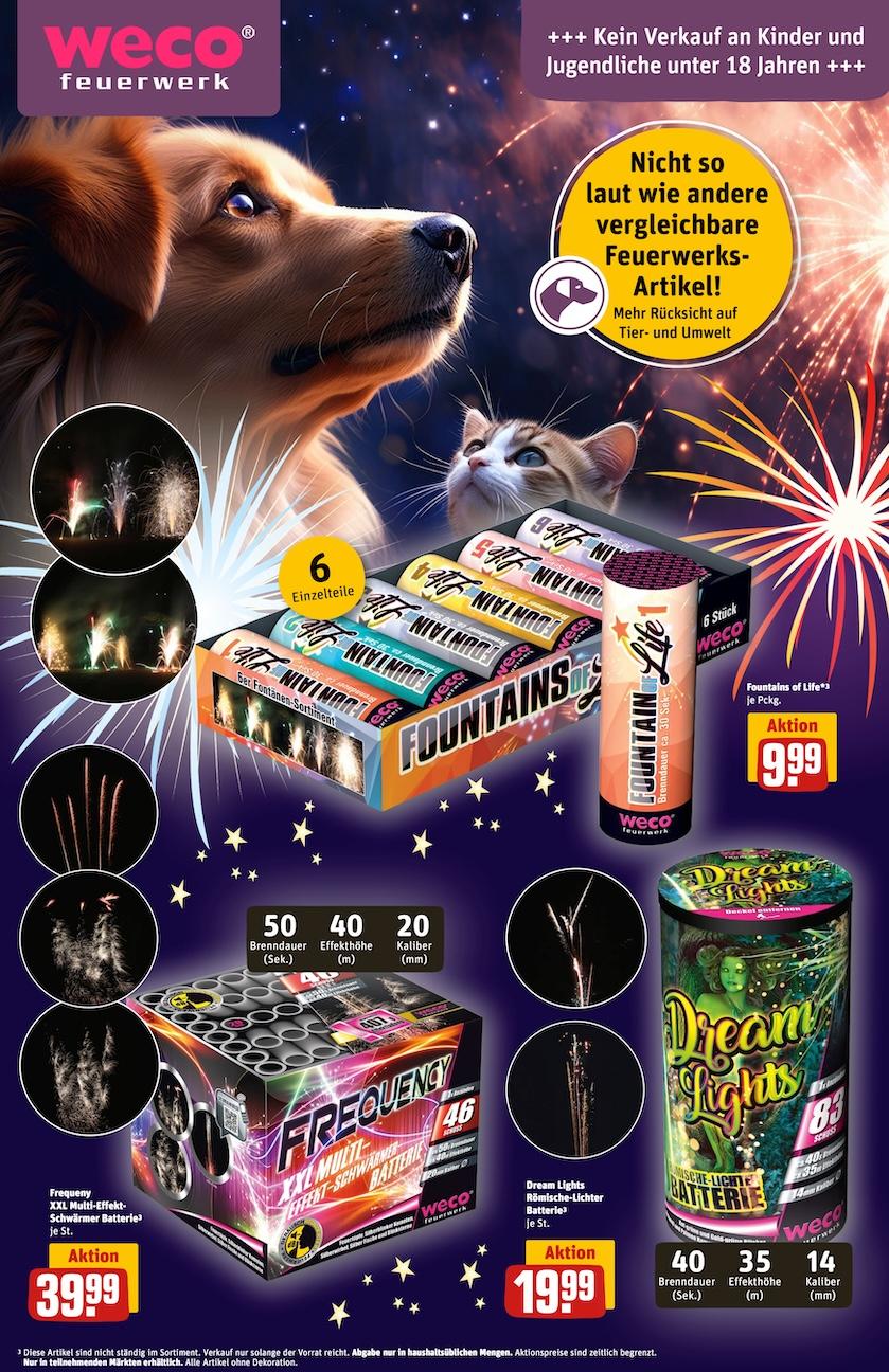 Rewe Aktueller Prospekt ab Montag Seite 29