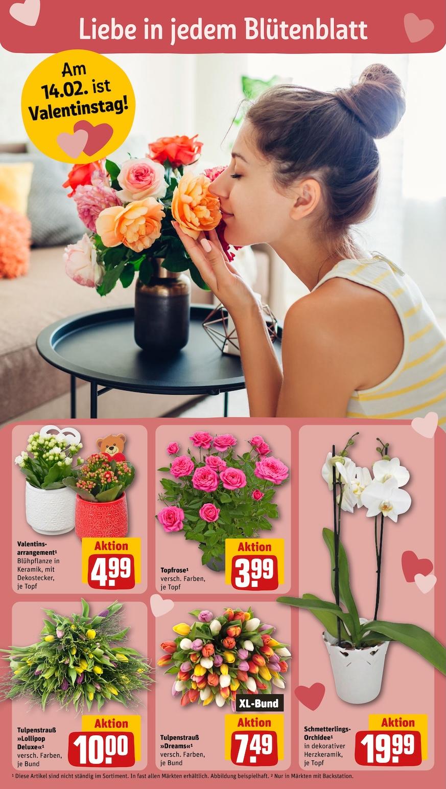 Rewe Aktueller Prospekt ab Montag Seite 8