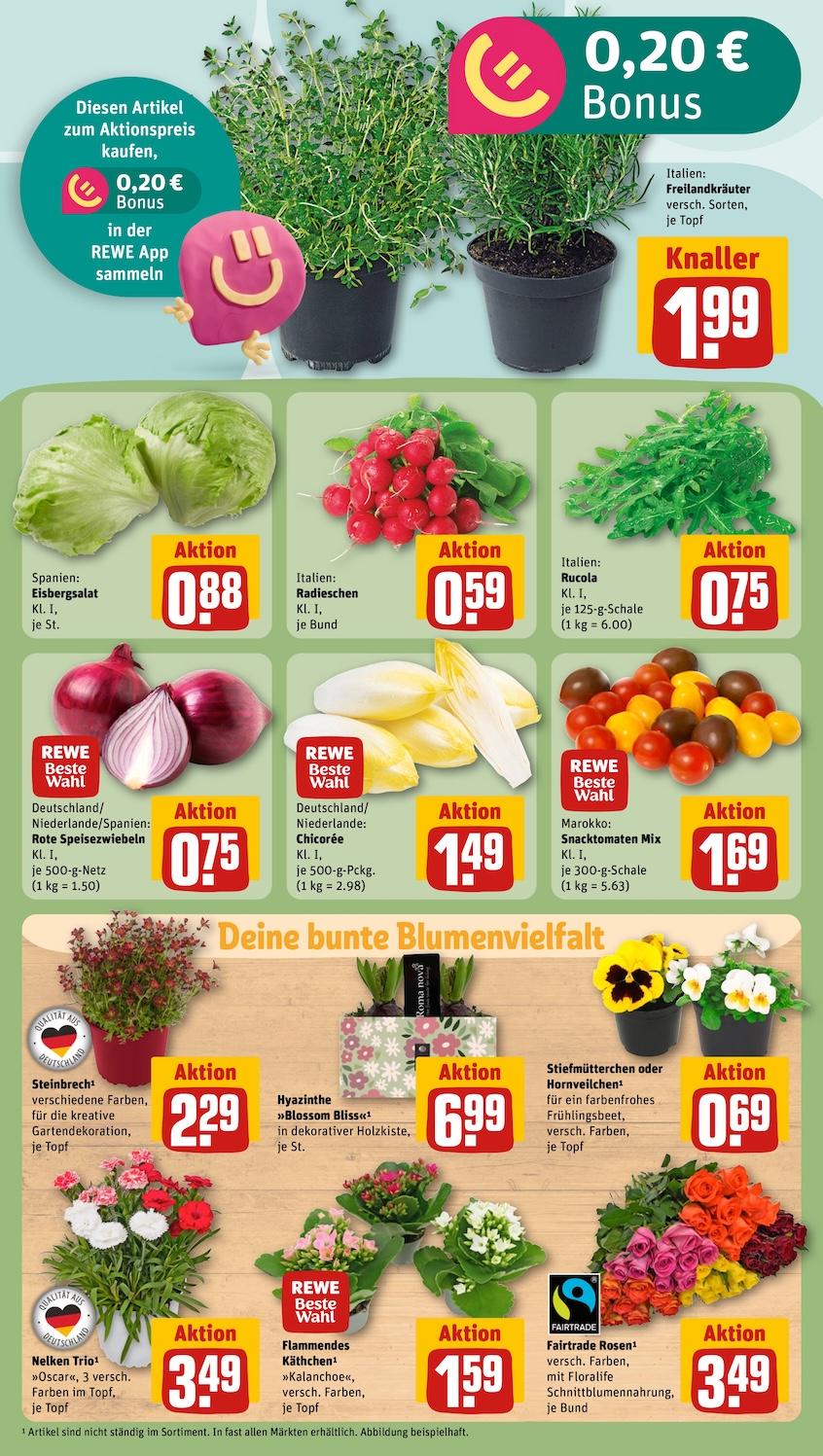 Rewe Aktueller Prospekt ab Montag Seite 7