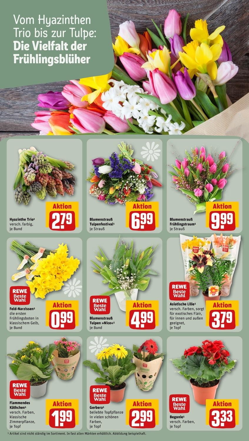 Rewe Aktueller Prospekt ab Montag Seite 8