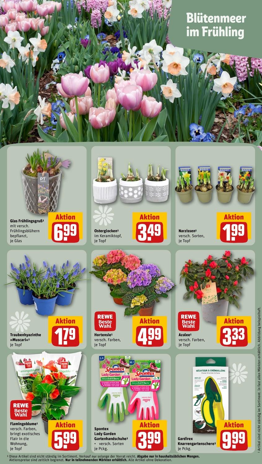 Rewe Aktueller Prospekt ab Montag Seite 9