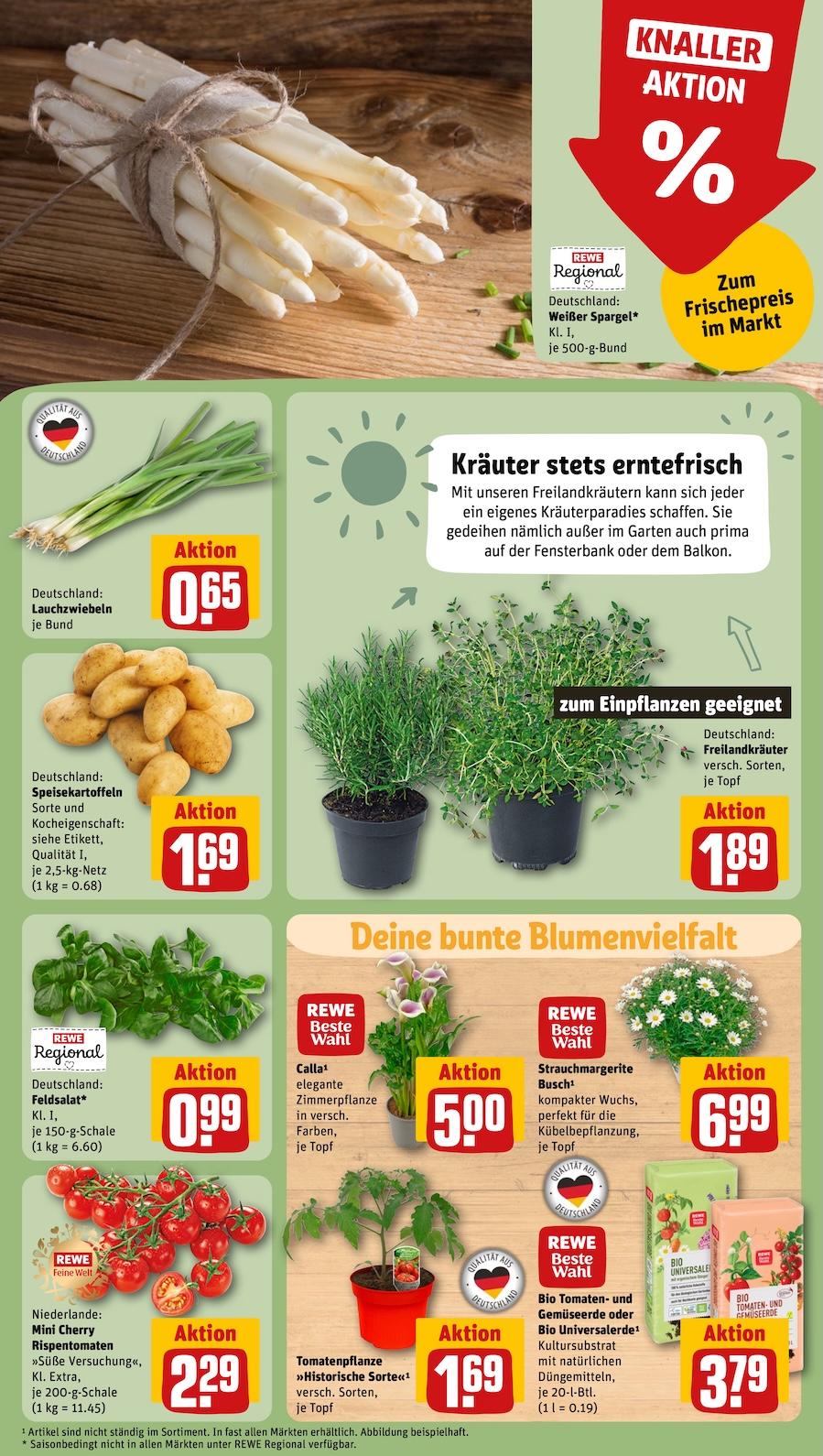 Rewe Aktueller Prospekt ab Montag Seite 7