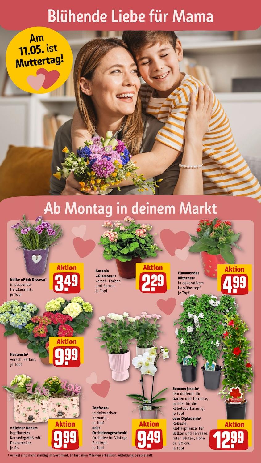 Rewe Aktueller Prospekt ab Montag Seite 6
