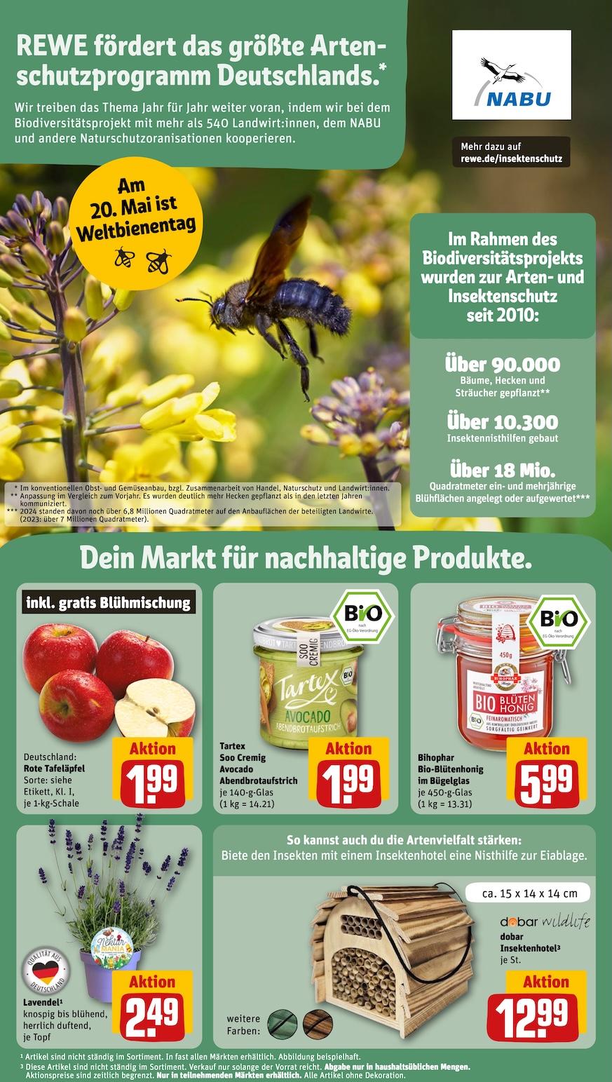 Rewe Aktueller Prospekt ab Montag Seite 24