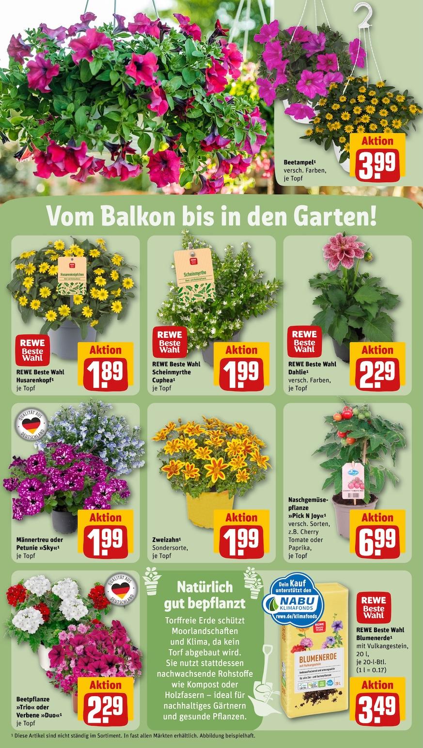 Rewe Aktueller Prospekt ab Montag Seite 25