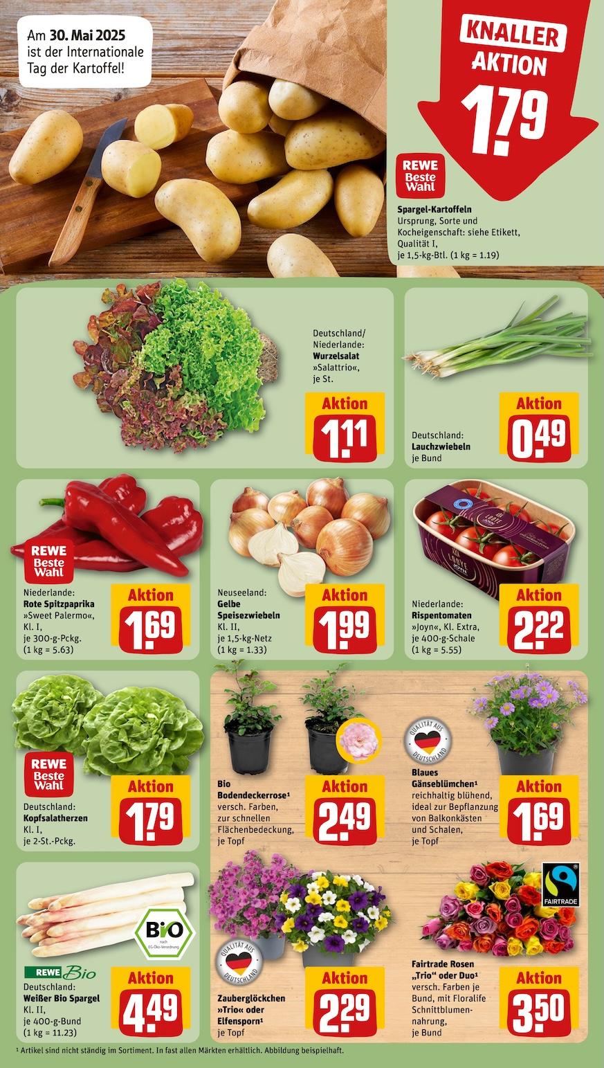 Rewe Aktueller Prospekt ab Montag Seite 7