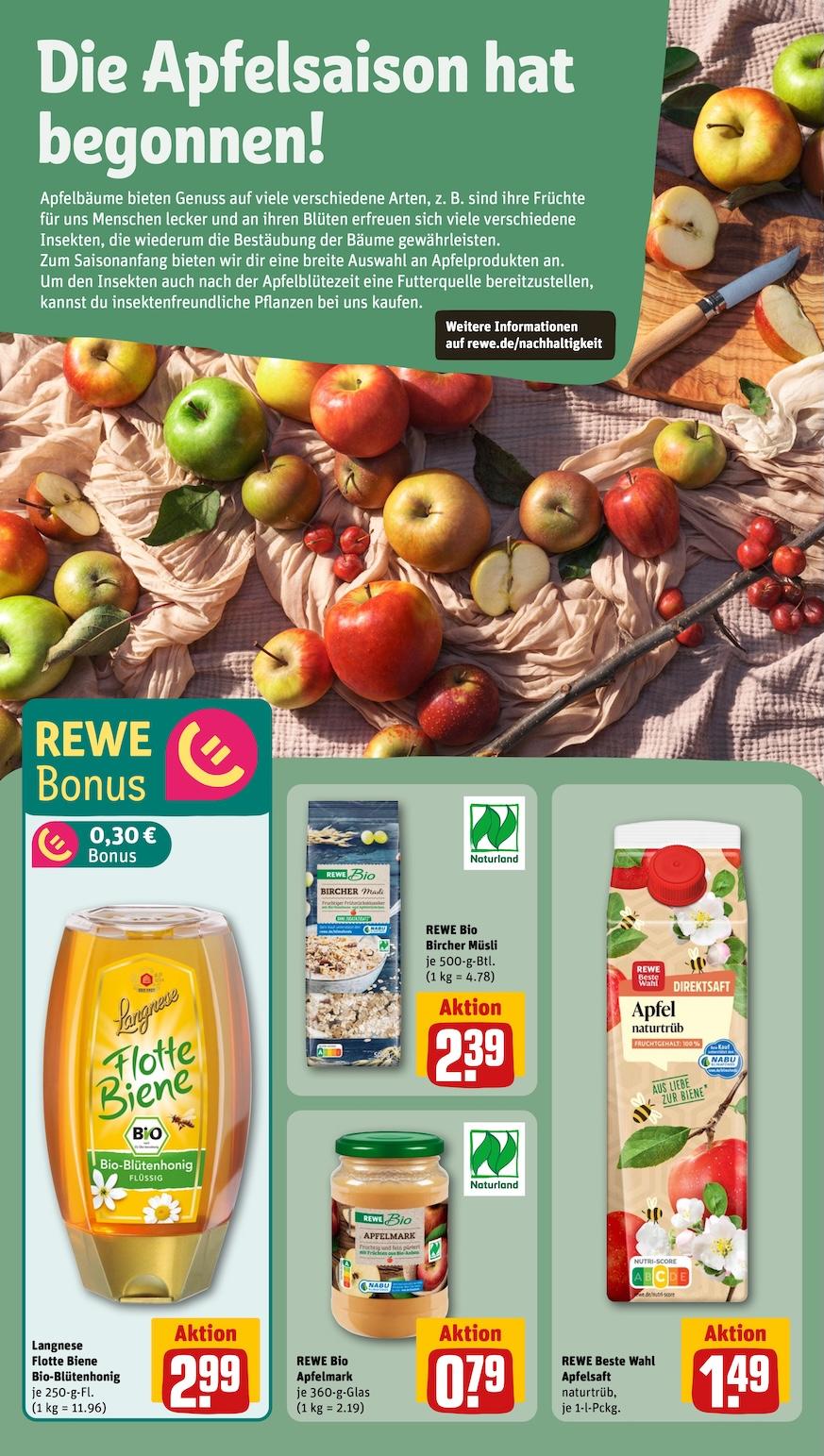 Rewe Aktueller Prospekt ab Montag Seite 24