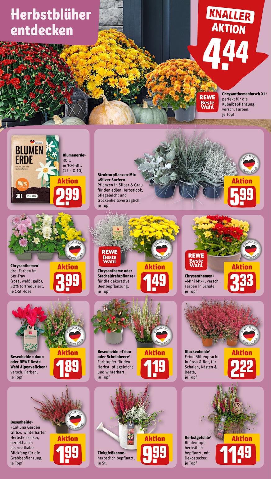 Rewe Aktueller Prospekt ab Montag Seite 5