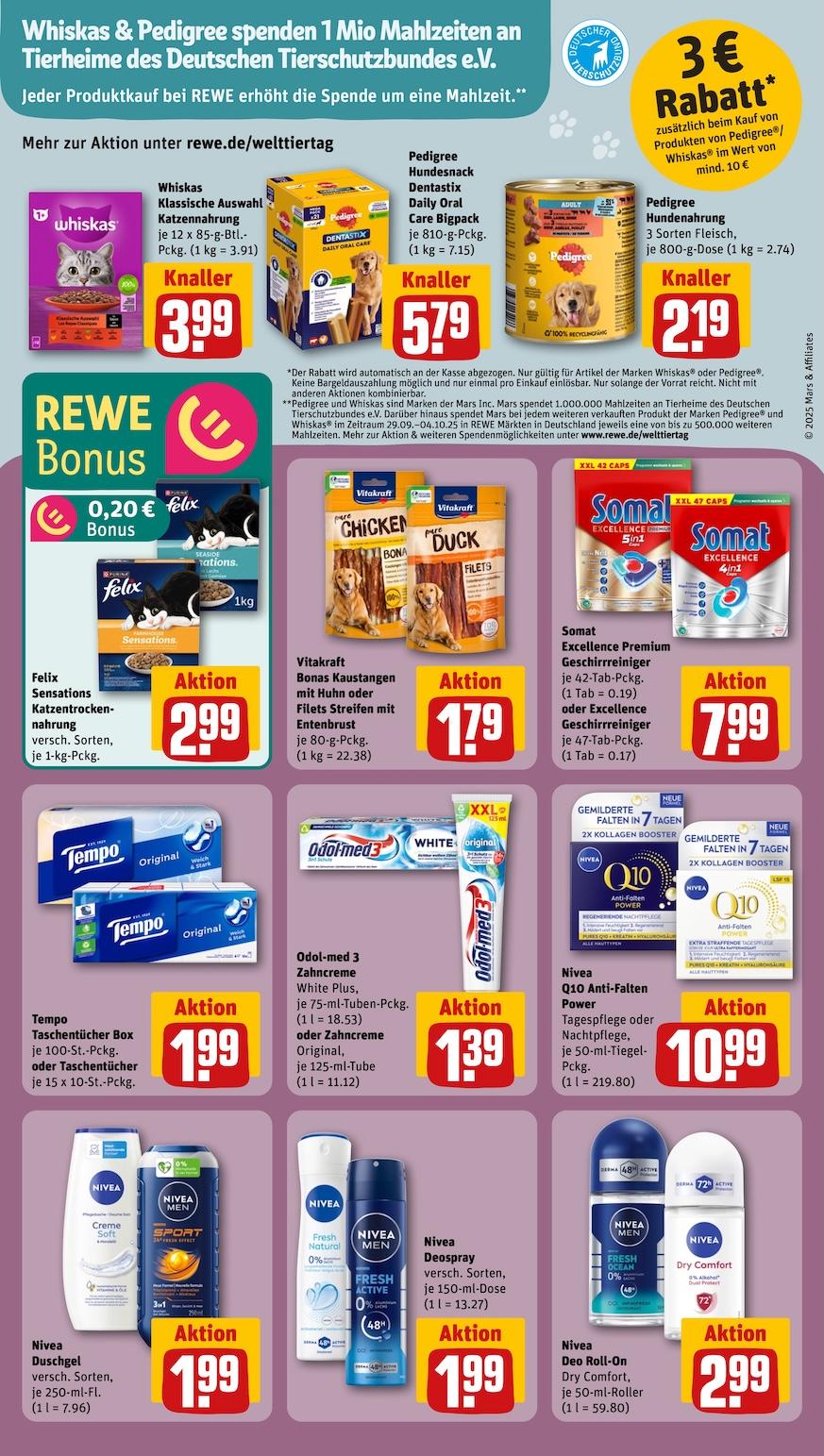Rewe Aktueller Prospekt ab Montag Seite 19