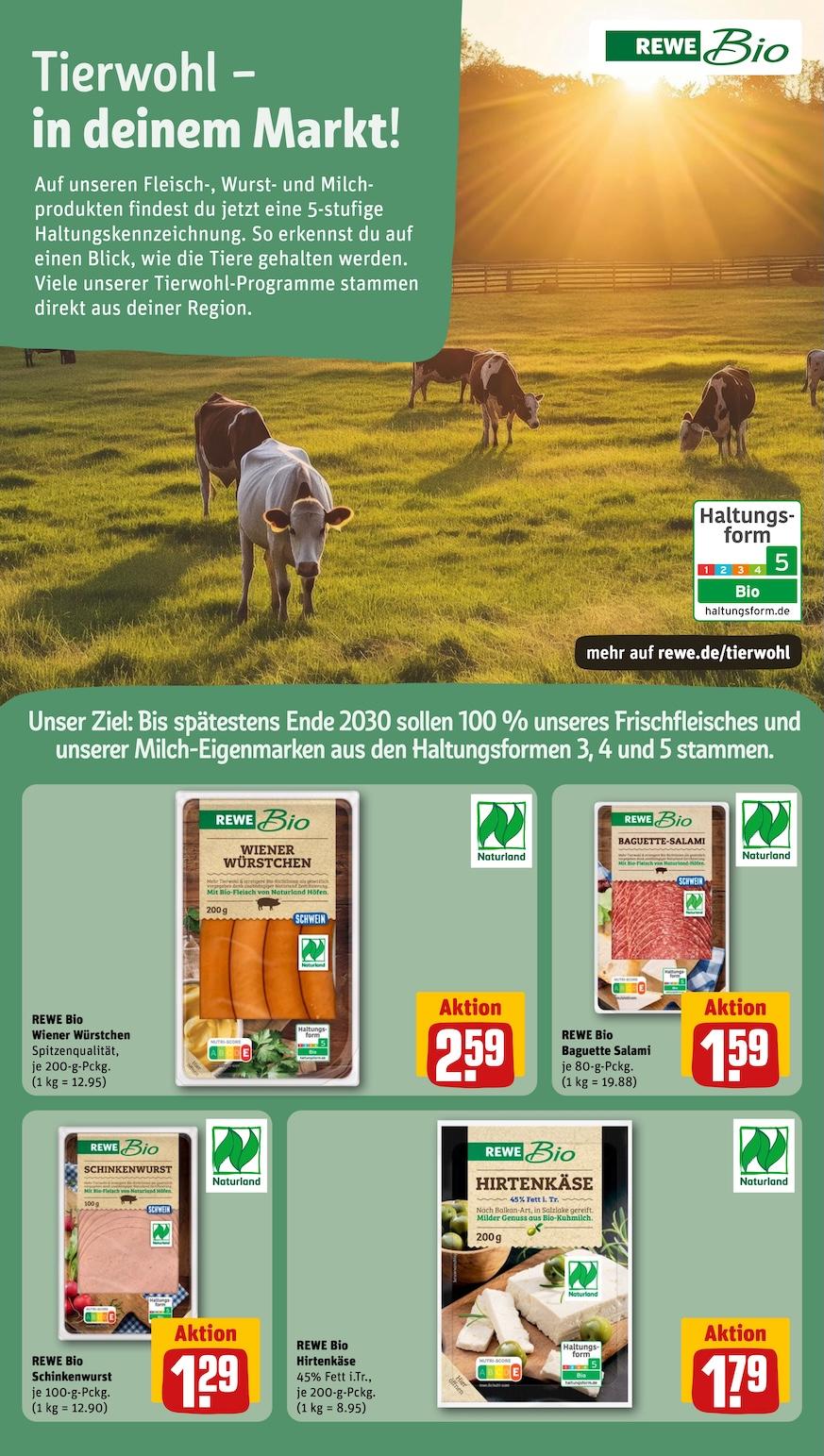 Rewe Aktueller Prospekt ab Montag Seite 24