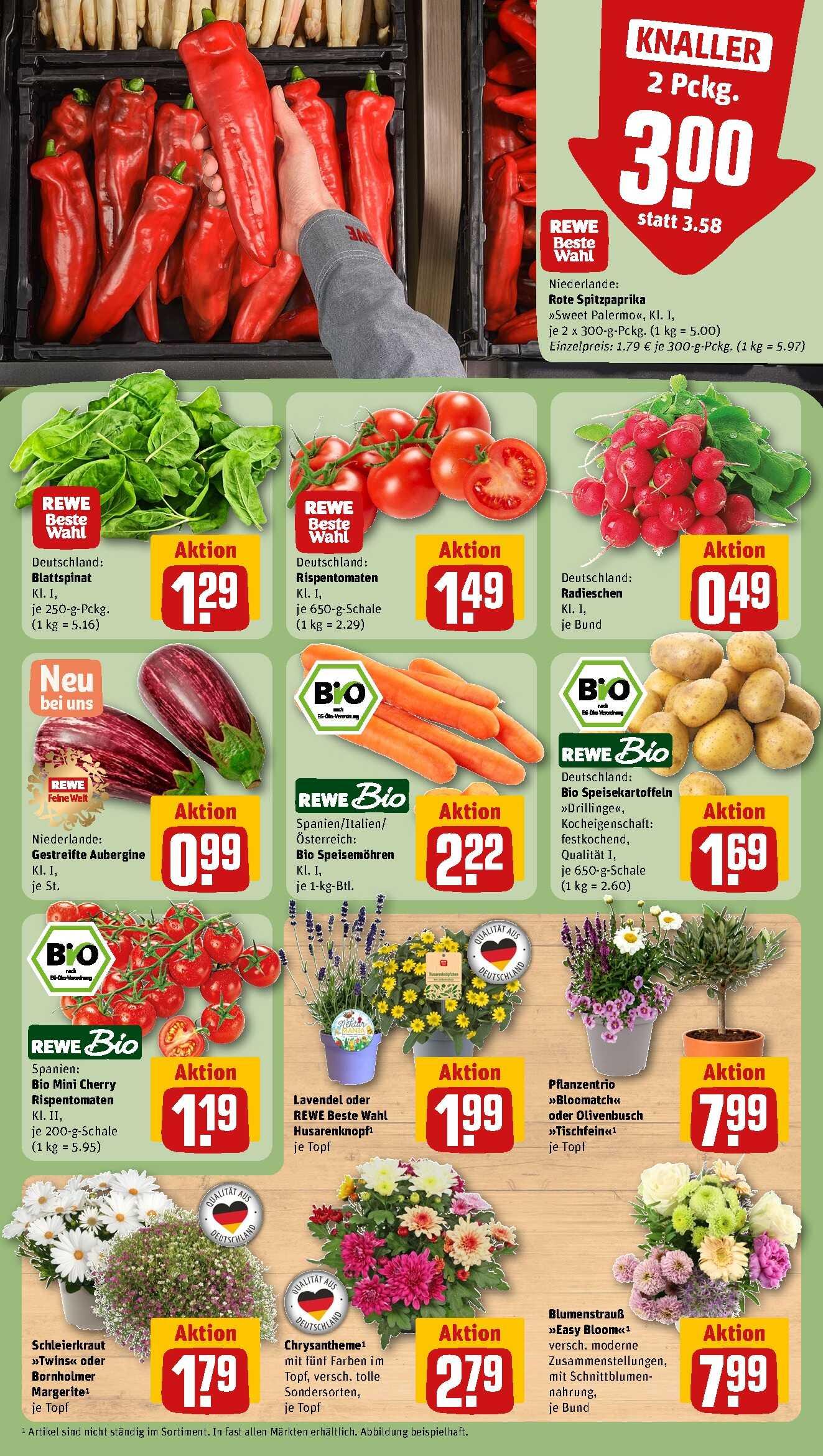 Rewe Aktueller Prospekt ab Montag Seite 11