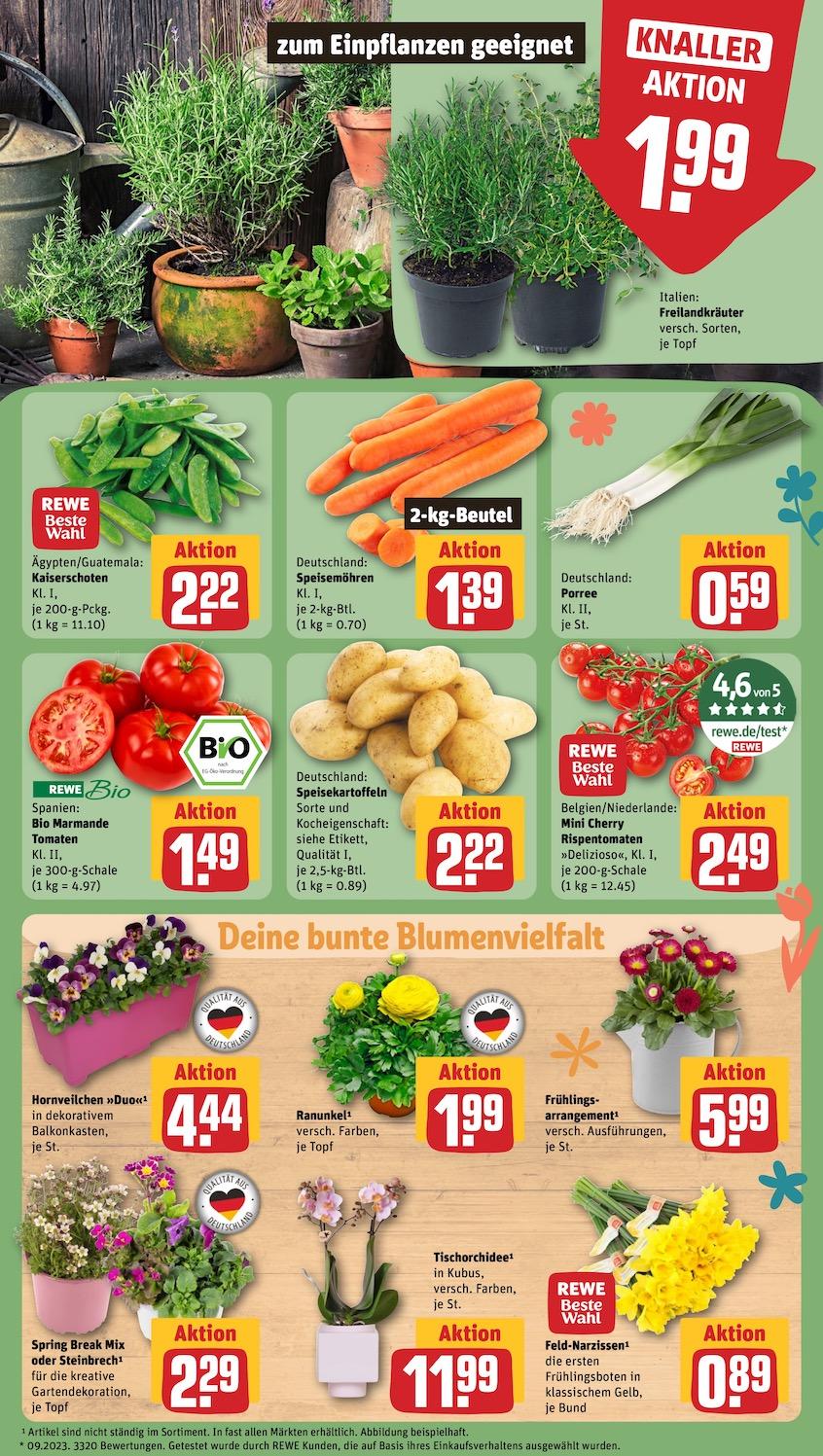 Rewe Aktueller Prospekt ab Montag Seite 7