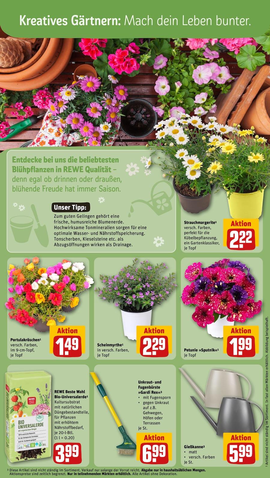 Rewe Aktueller Prospekt ab Montag Seite 15