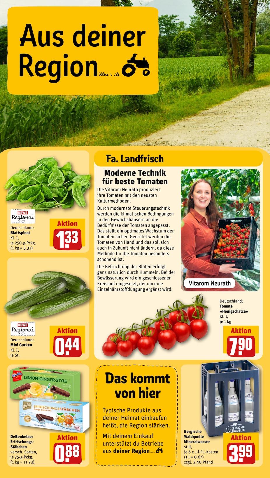 Rewe Aktueller Prospekt ab Montag Seite 24