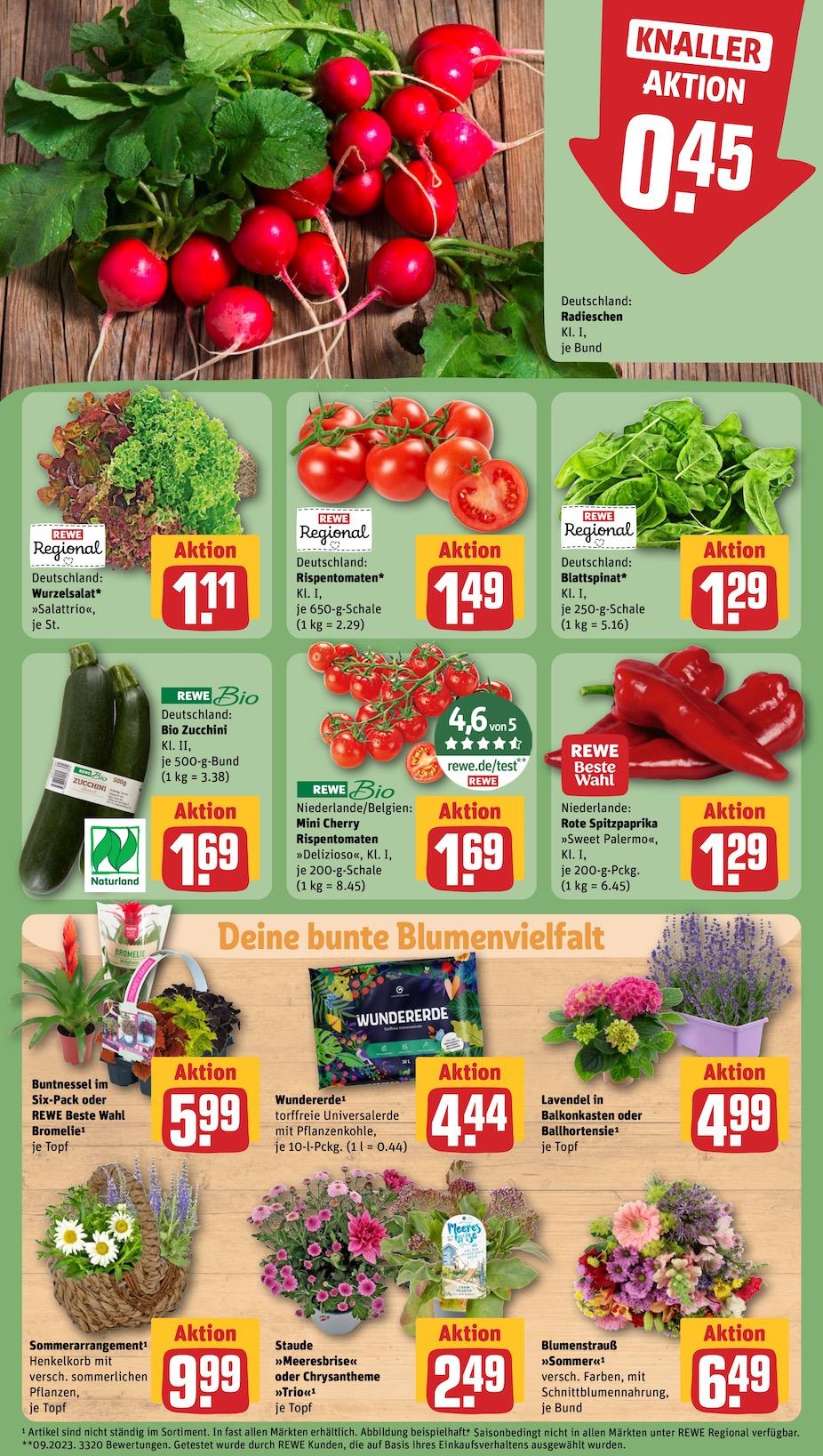 Rewe Aktueller Prospekt ab Montag Seite 7