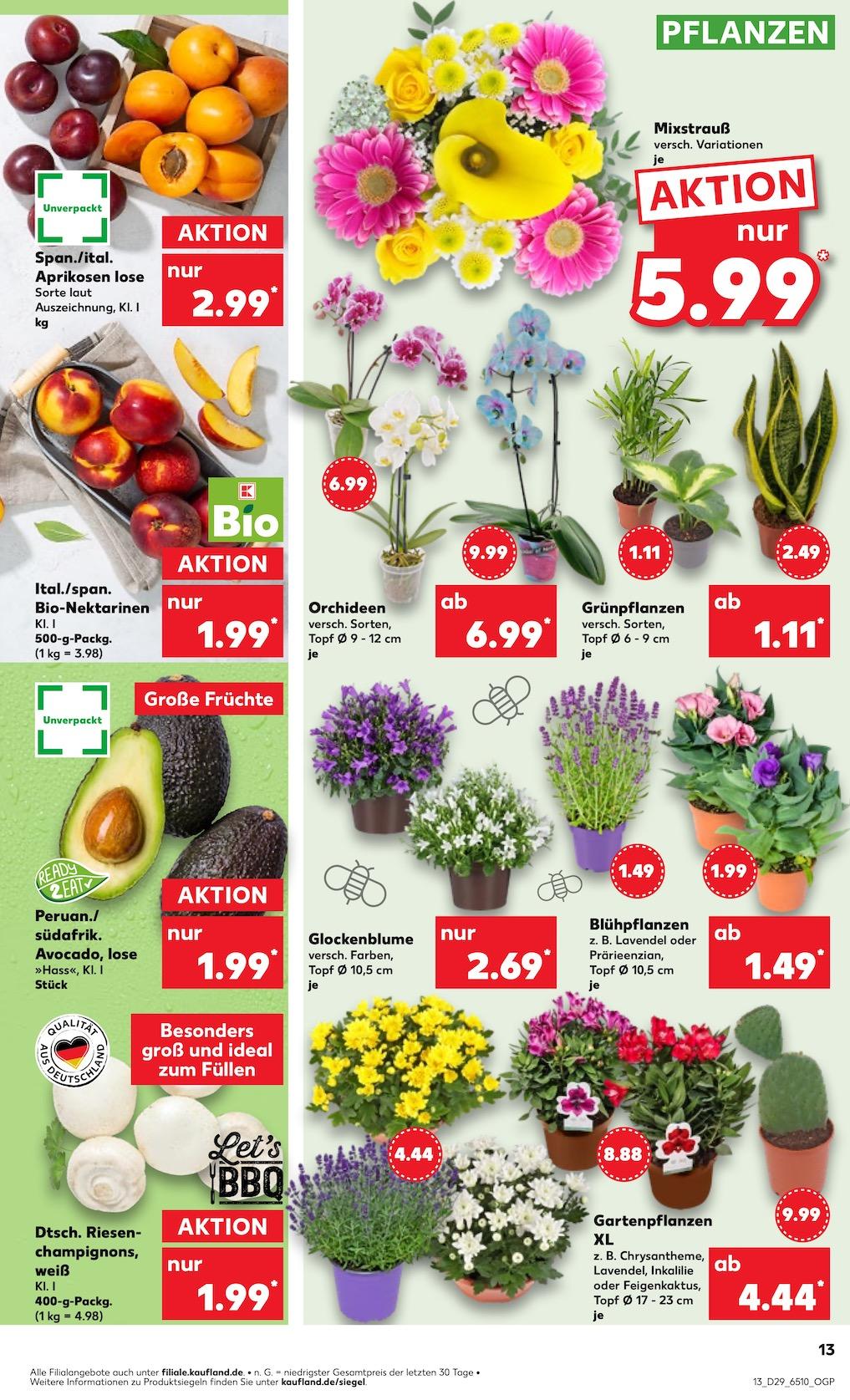 Kaufland Aktueller Prospekt ab Donnerstag Seite 13