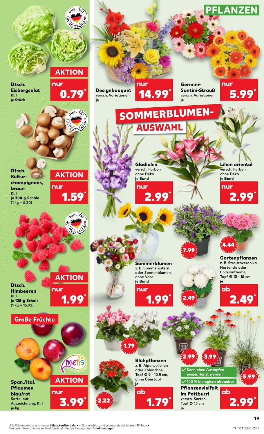 Kaufland Aktueller Prospekt ab Donnerstag Seite 19