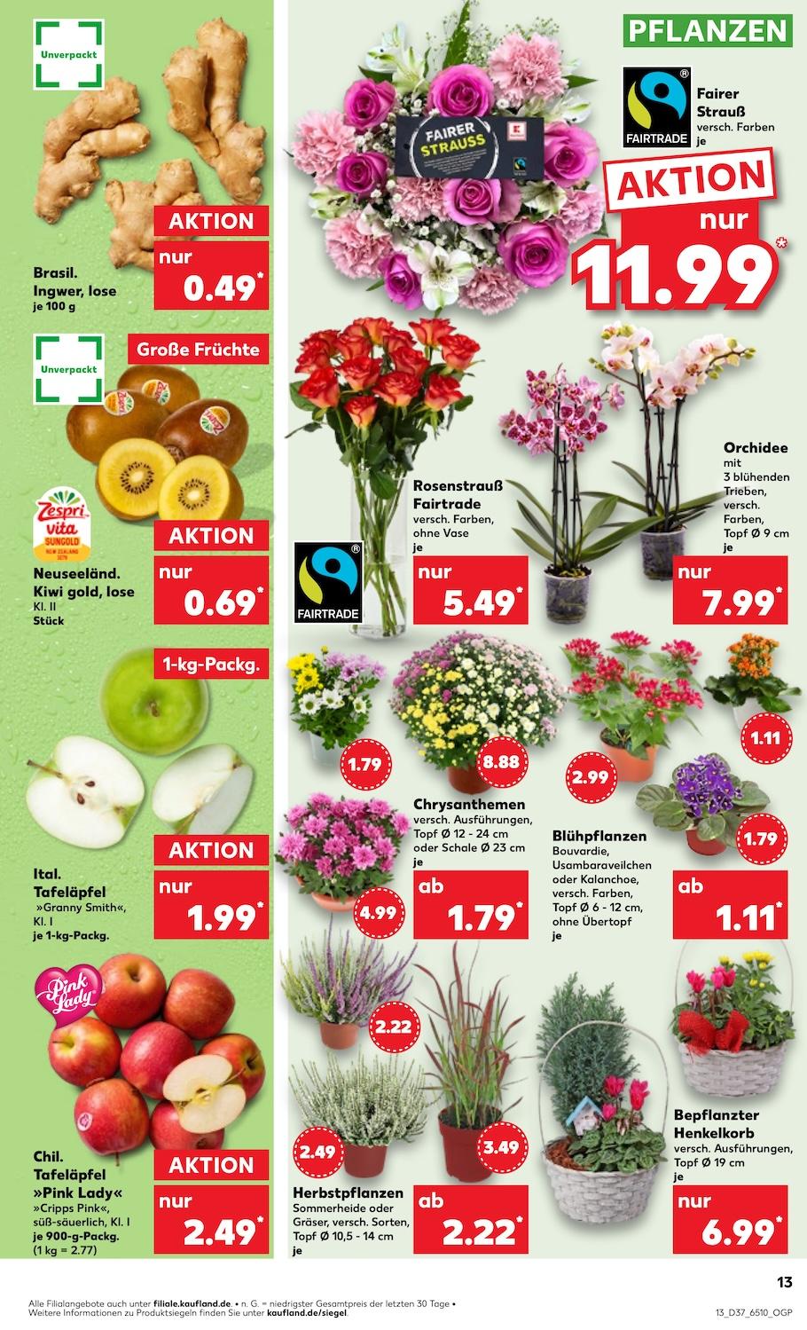 Kaufland Aktueller Prospekt ab Donnerstag Seite 13