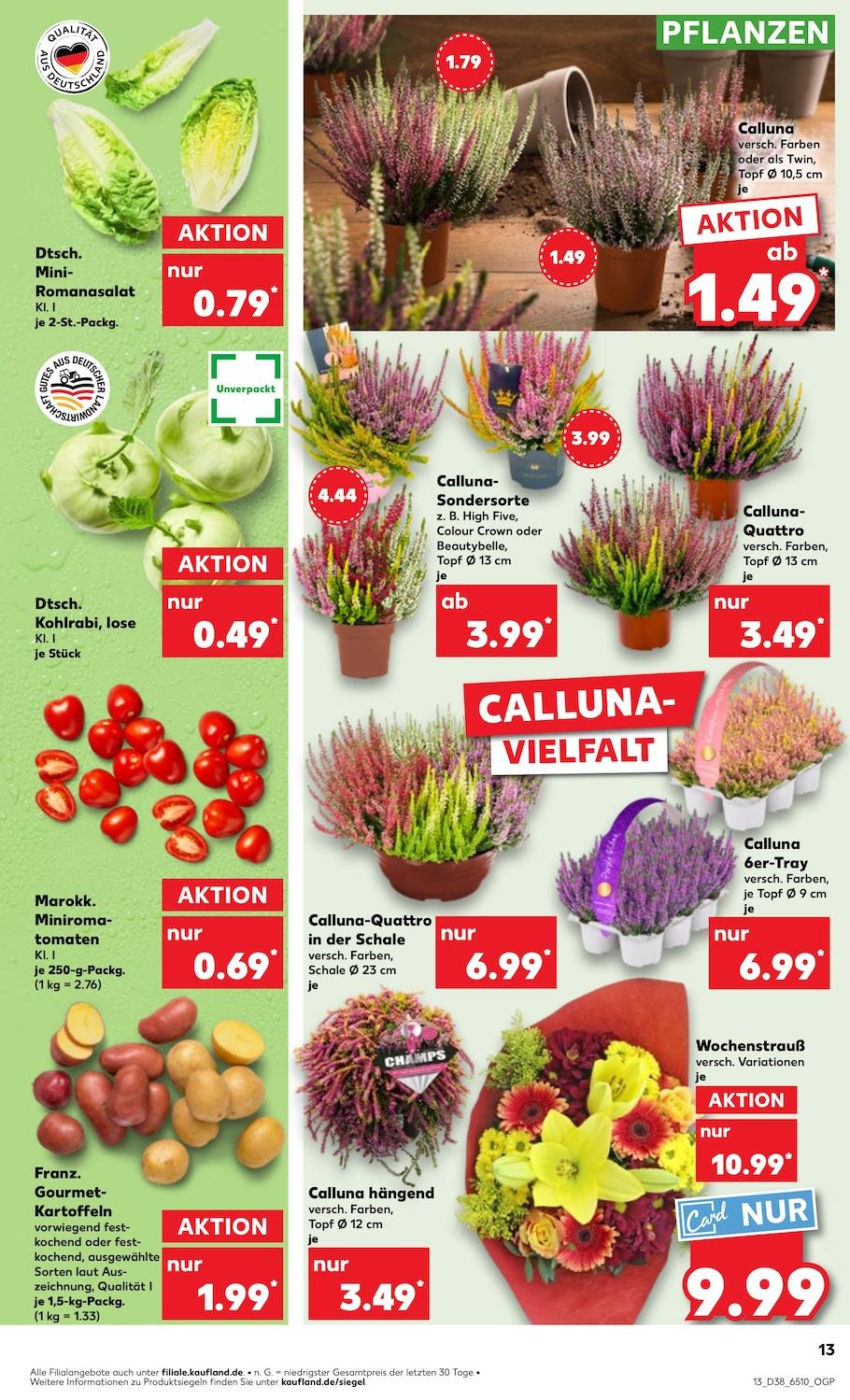 Kaufland Aktueller Prospekt ab Donnerstag Seite 13