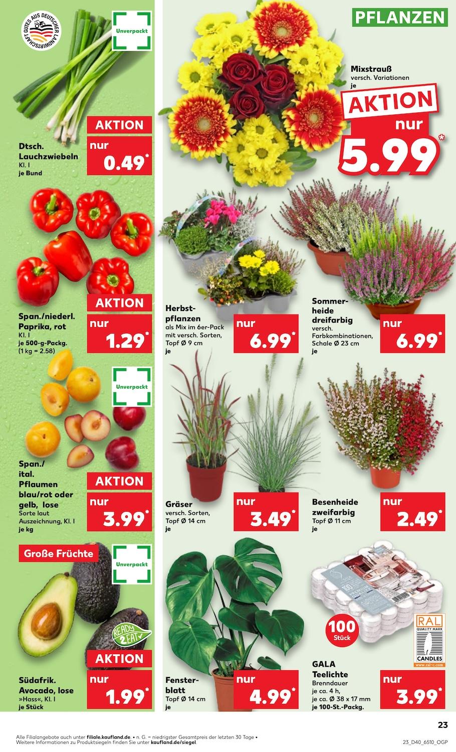 Kaufland Aktueller Prospekt ab Donnerstag Seite 23