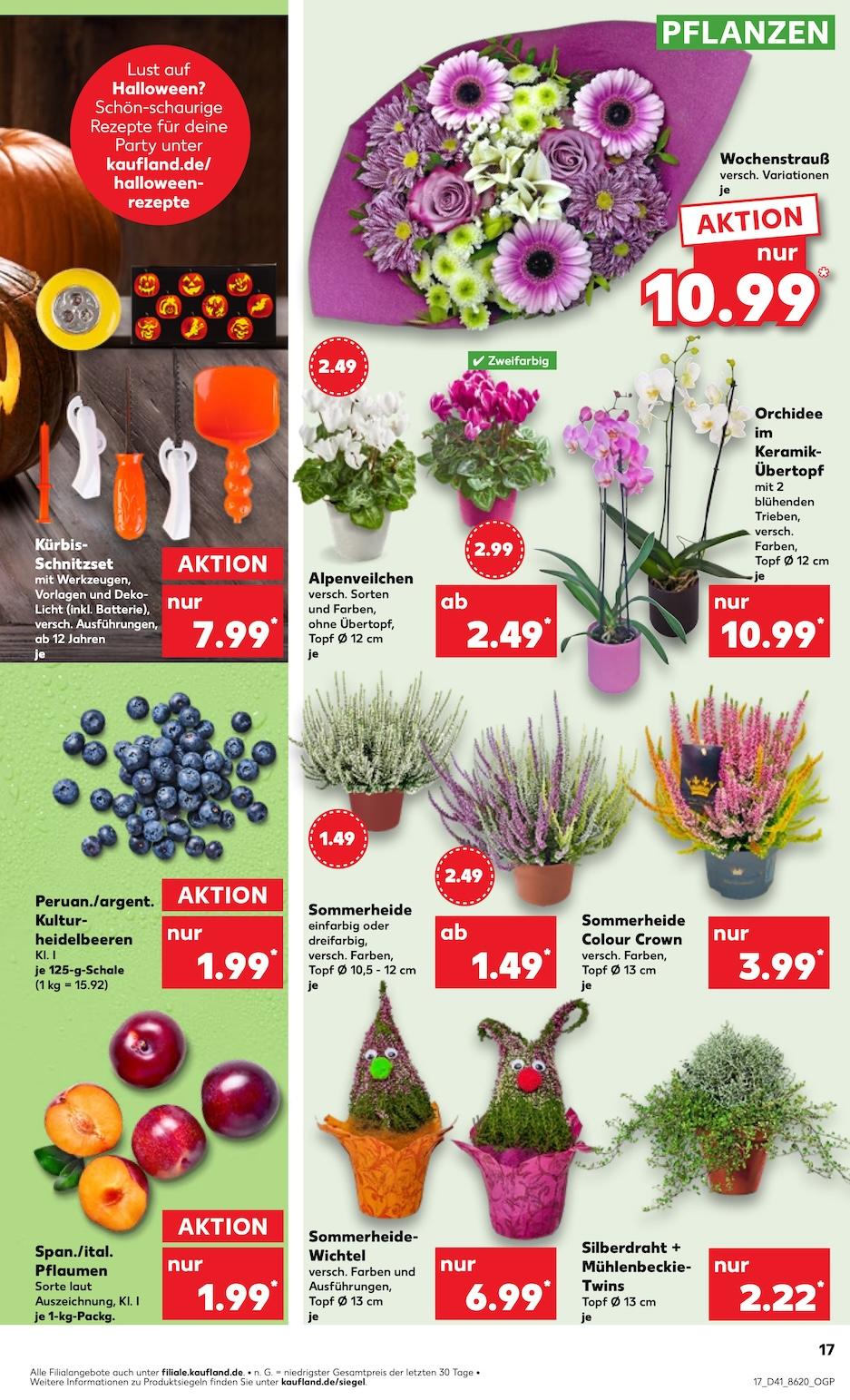 Kaufland Aktueller Prospekt ab Donnerstag Seite 17