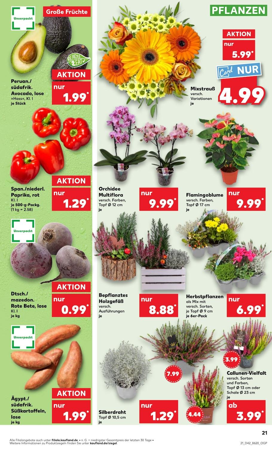 Kaufland Aktueller Prospekt ab Donnerstag Seite 21