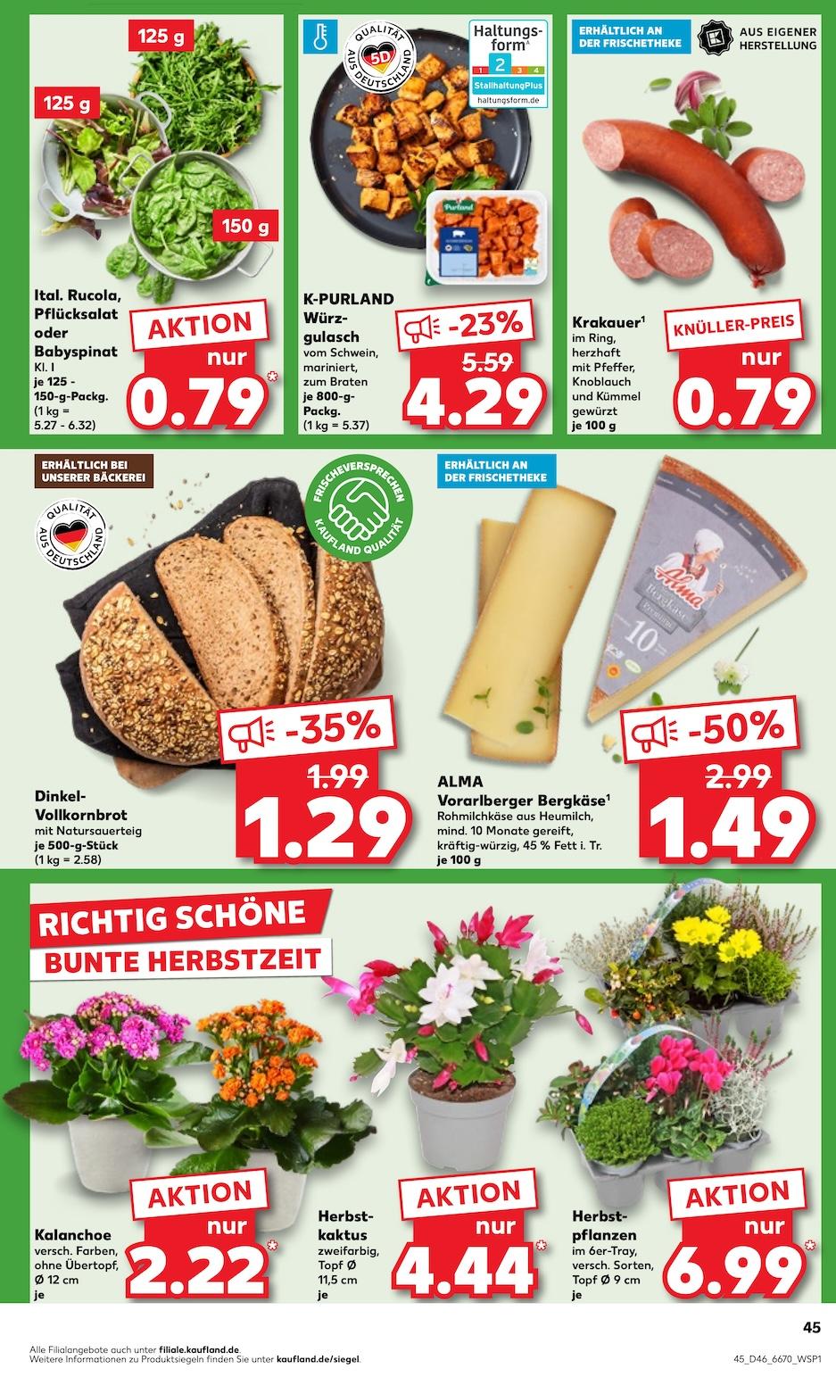 Kaufland Aktueller Prospekt ab Donnerstag Seite 45