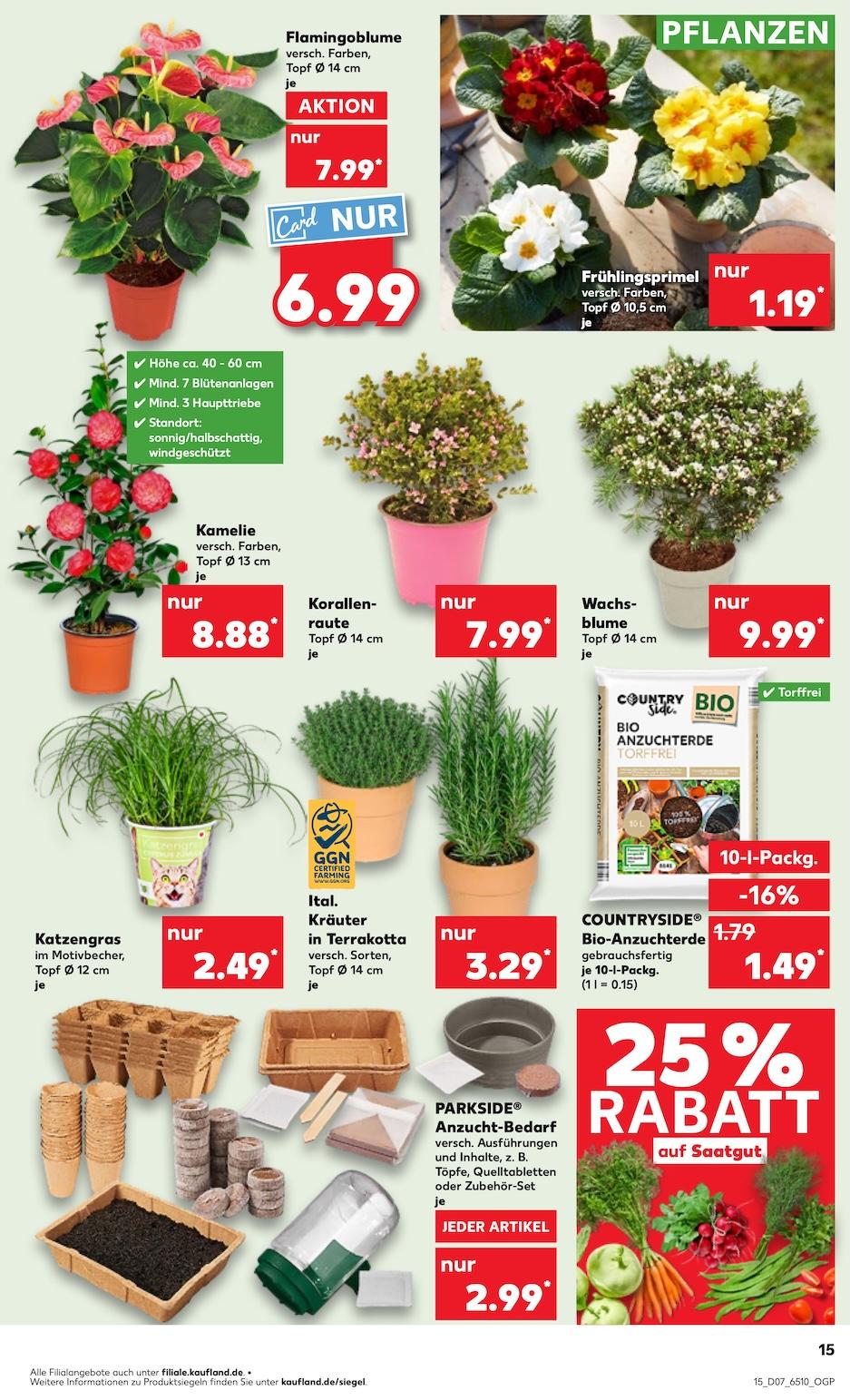 Kaufland Aktueller Prospekt ab Donnerstag Seite 15