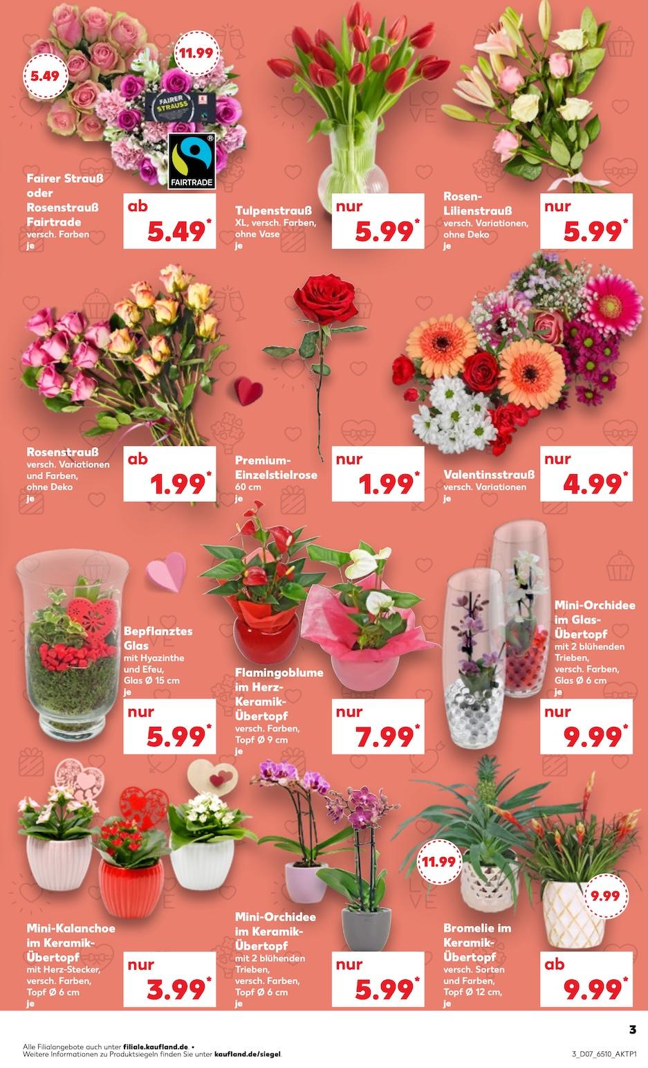 Kaufland Aktueller Prospekt ab Donnerstag Seite 3