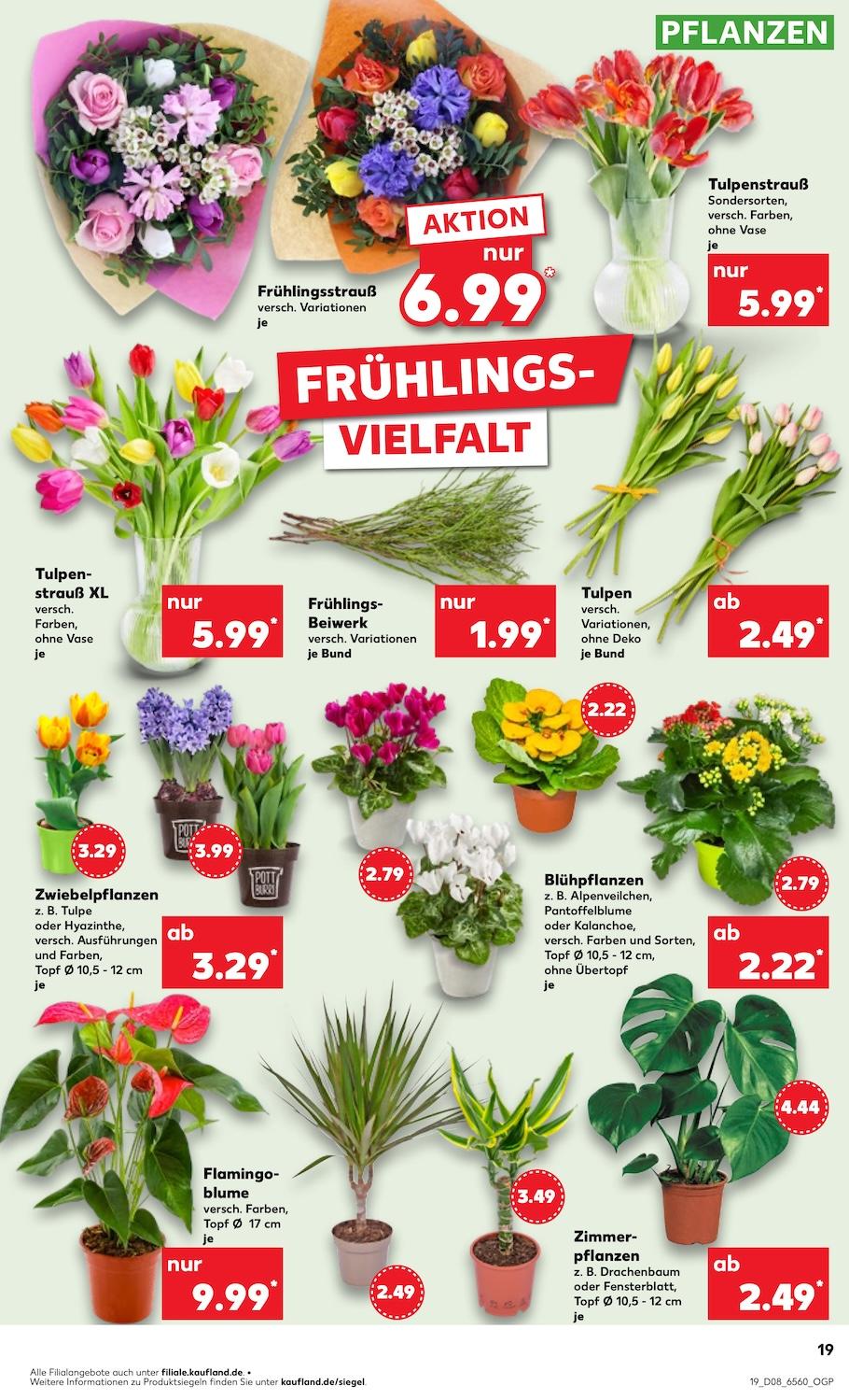 Kaufland Aktueller Prospekt ab Donnerstag Seite 19