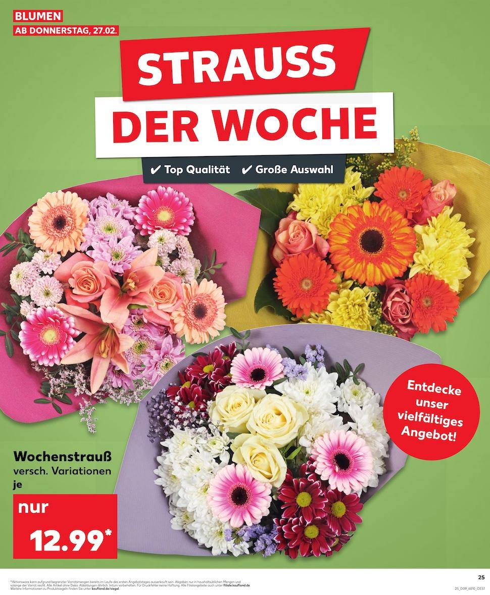 Kaufland Aktueller Prospekt ab Donnerstag Seite 25