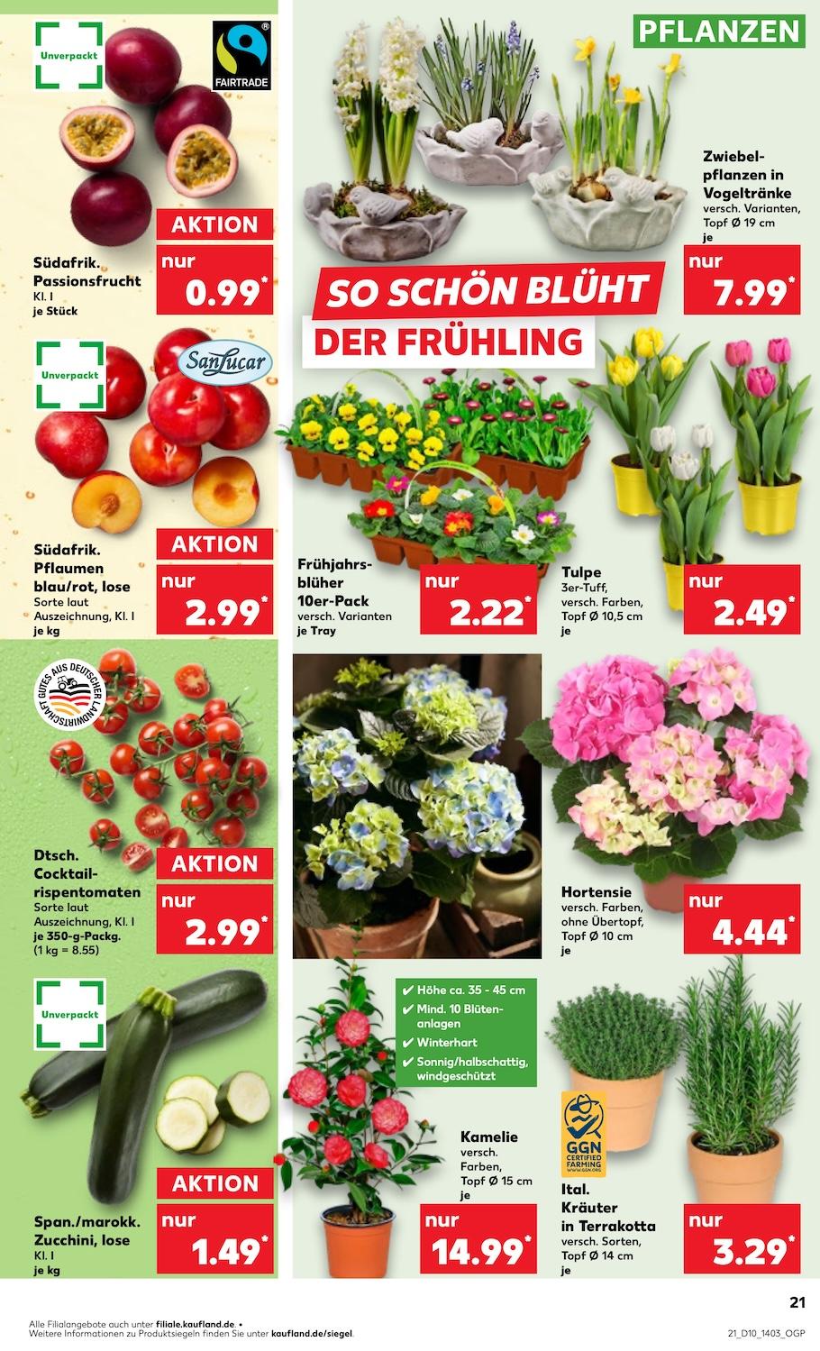 Kaufland Aktueller Prospekt ab Donnerstag Seite 21
