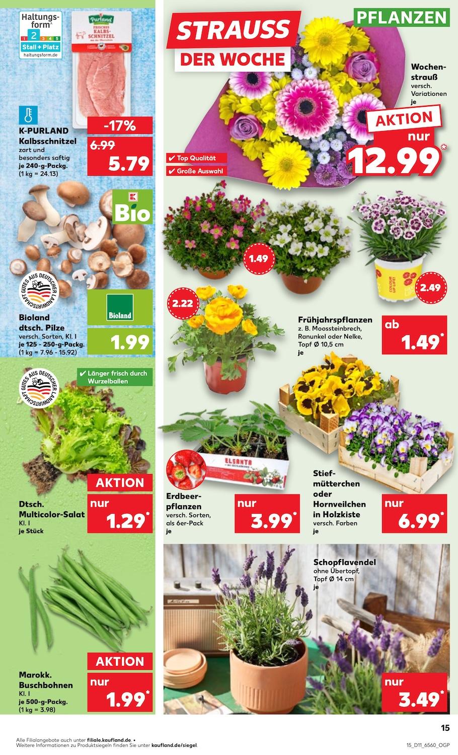 Kaufland Aktueller Prospekt ab Donnerstag Seite 15