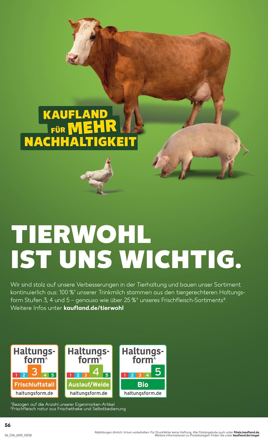 Kaufland Aktueller Prospekt ab Donnerstag Seite 56