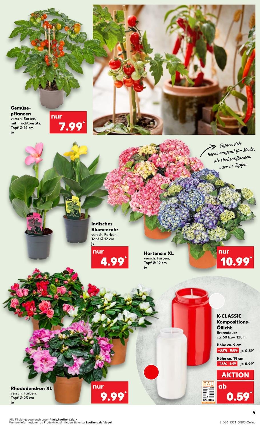 Kaufland Aktueller Prospekt ab Donnerstag Seite 5