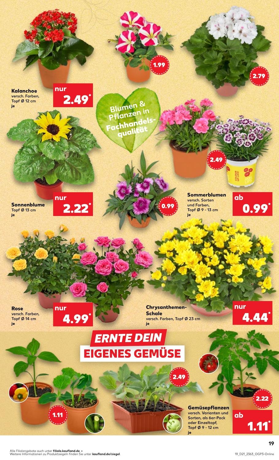 Kaufland Aktueller Prospekt ab Donnerstag Seite 19