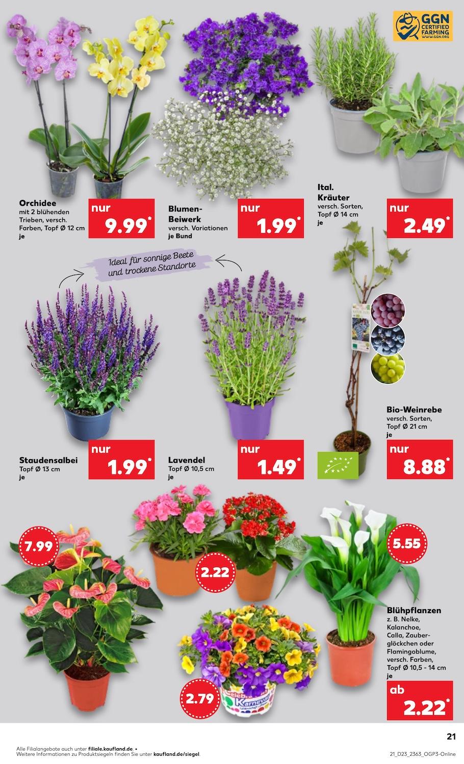 Kaufland Aktueller Prospekt ab Donnerstag Seite 23