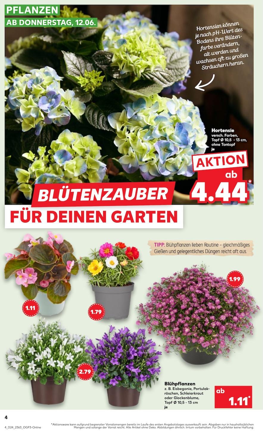 Kaufland Aktueller Prospekt ab Donnerstag Seite 4