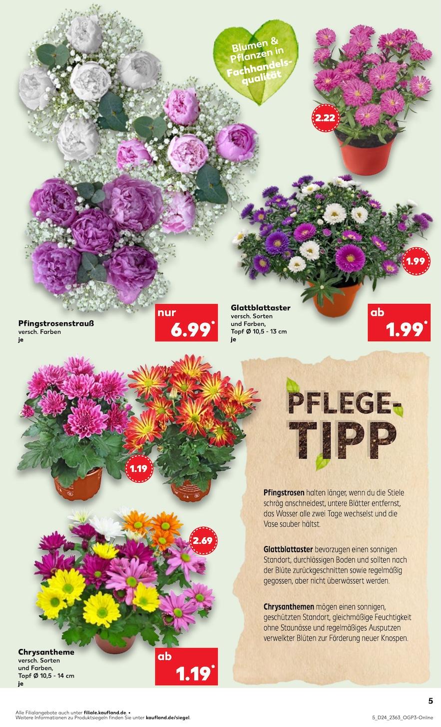 Kaufland Aktueller Prospekt ab Donnerstag Seite 5