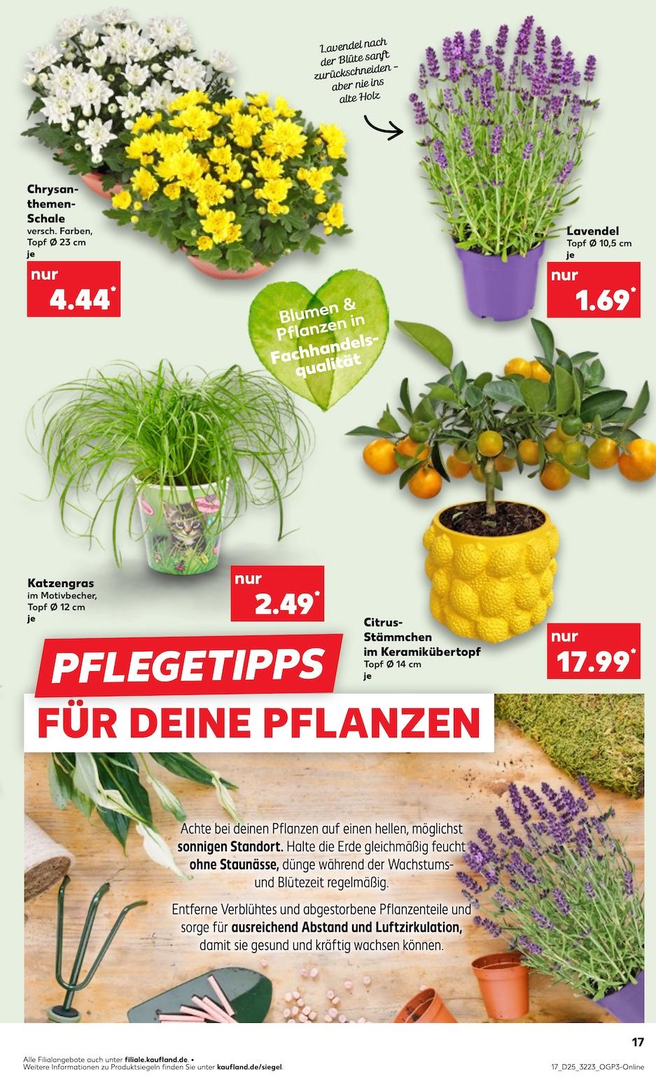 Kaufland Aktueller Prospekt ab Freitag Seite 17
