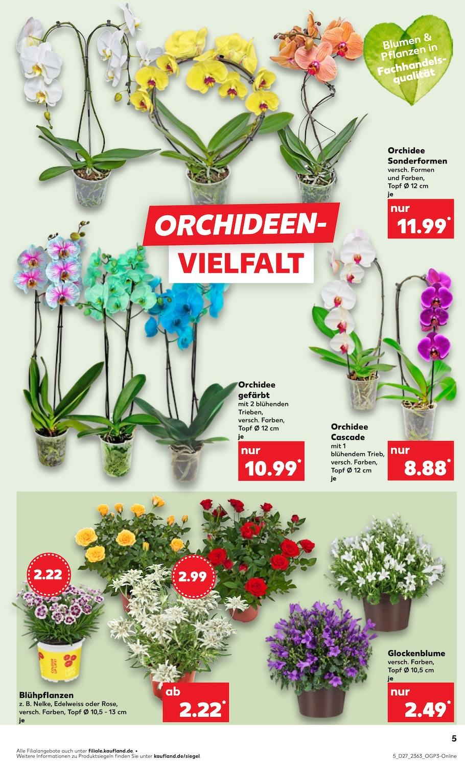 Kaufland Aktueller Prospekt ab Donnerstag Seite 5