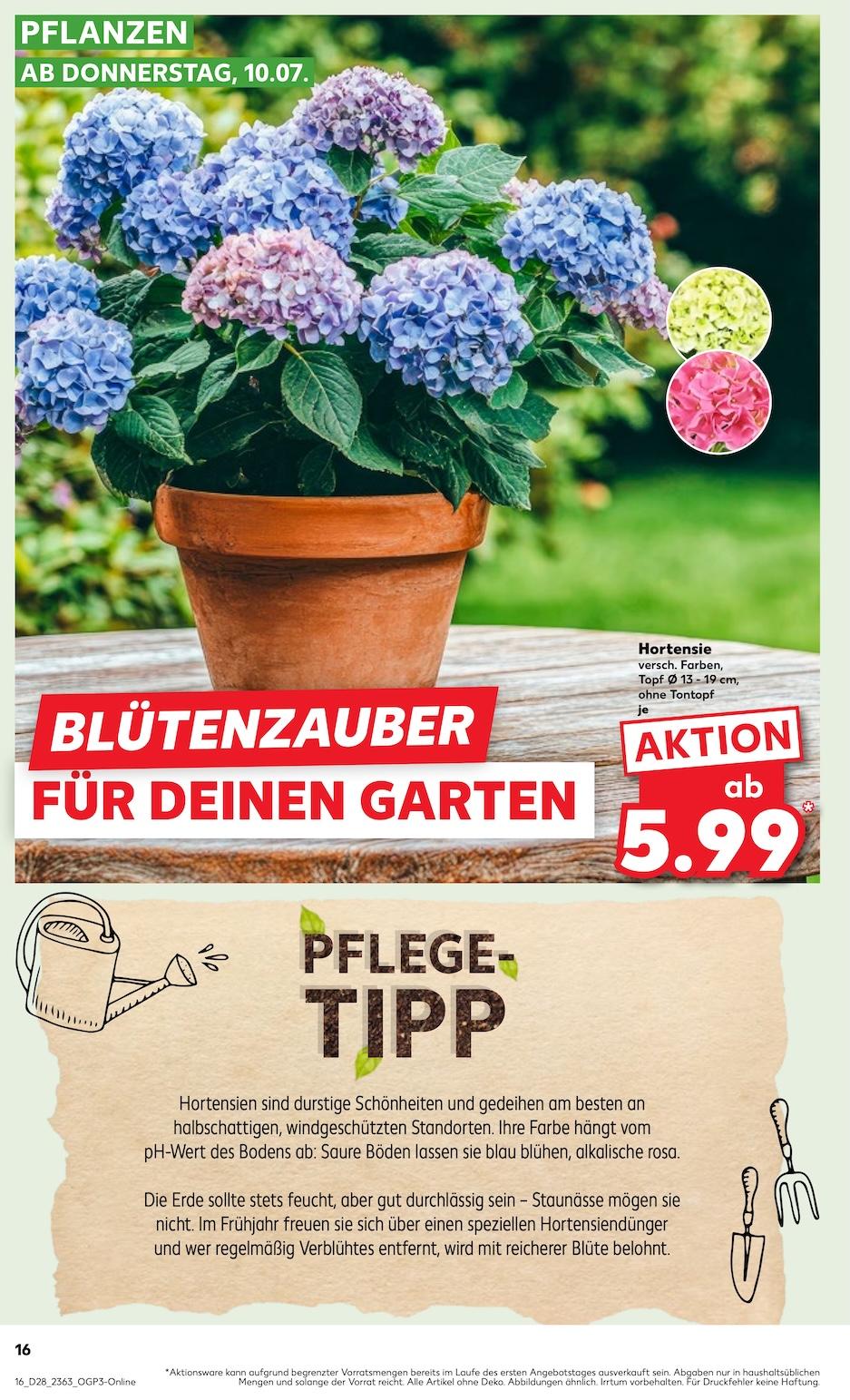 Kaufland Aktueller Prospekt ab Donnerstag Seite 16