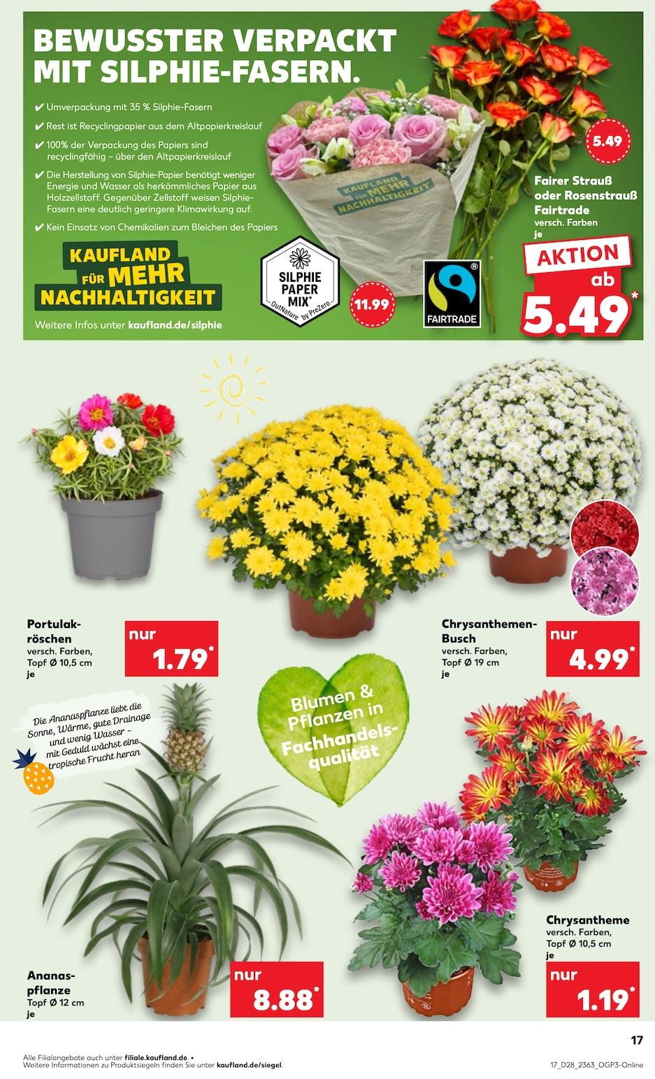 Kaufland Aktueller Prospekt ab Donnerstag Seite 17