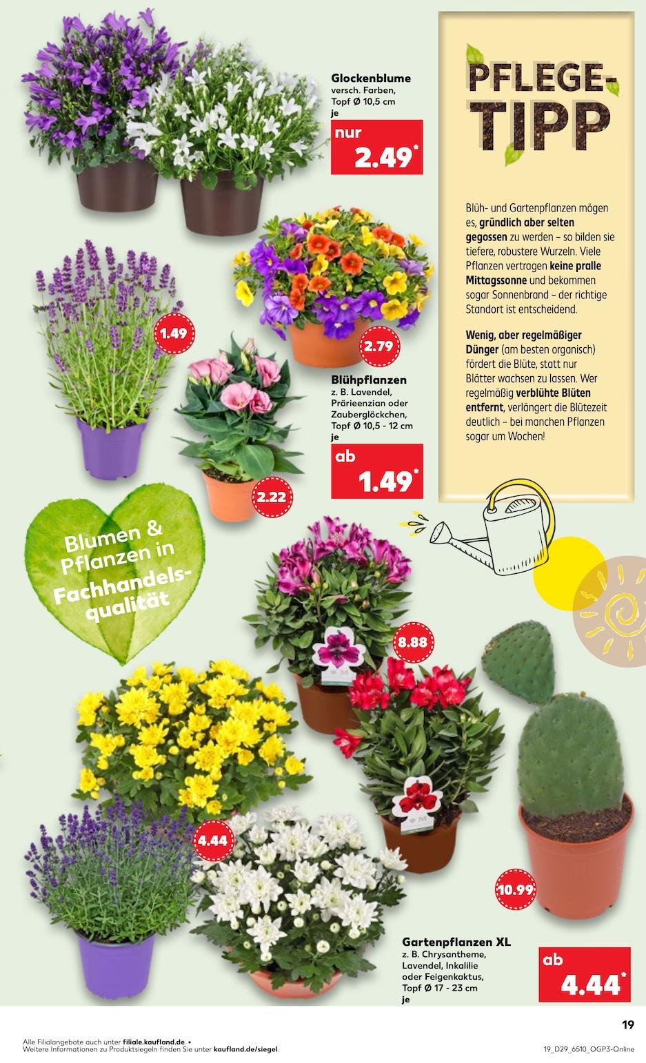 Kaufland Aktueller Prospekt ab Donnerstag Seite 19