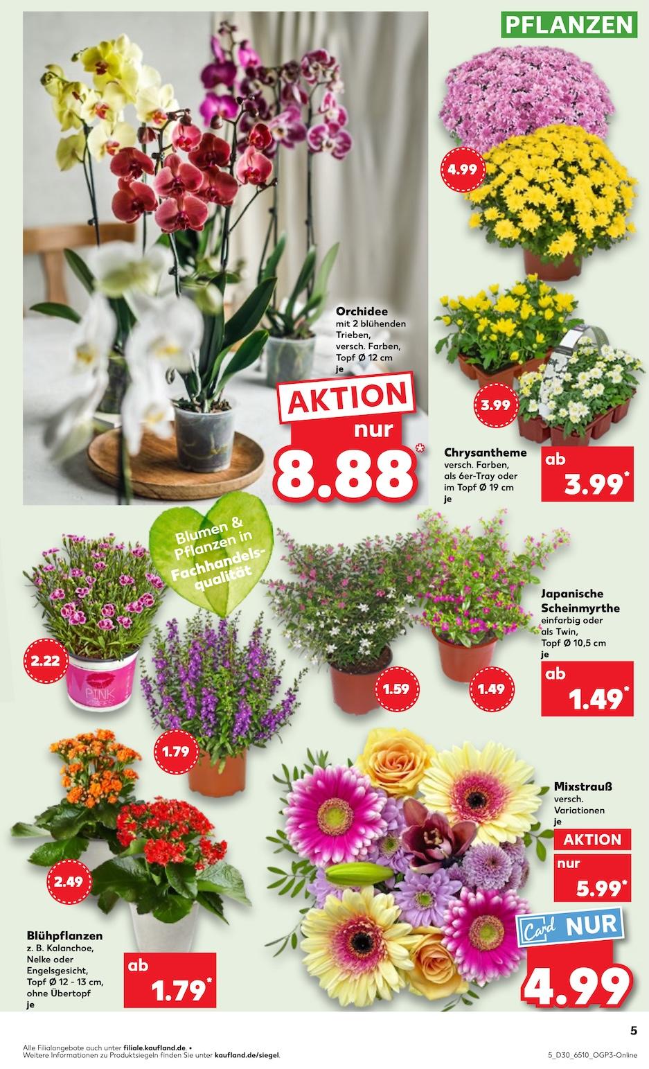 Kaufland Aktueller Prospekt ab Donnerstag Seite 5