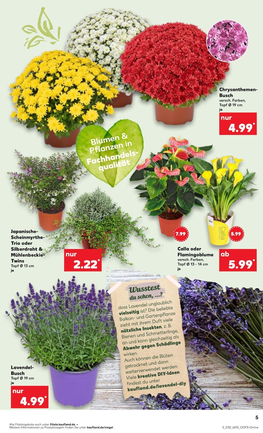 Kaufland Aktueller Prospekt ab Donnerstag Seite 5