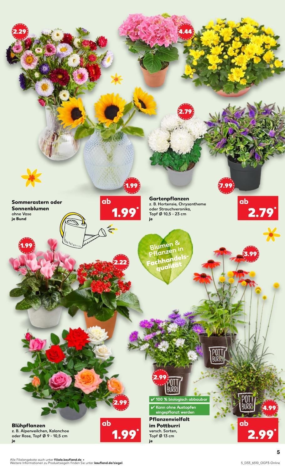 Kaufland Aktueller Prospekt ab Donnerstag Seite 5